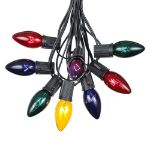 C9 25 Light String Set with Assorted Bulbs on Black Wire