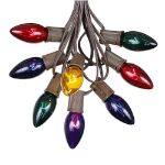 C9 25 Light String Set with Assorted Bulbs on Brown Wire