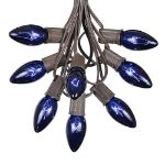 C9 25 Light String Set with Blue Bulbs on Brown Wire