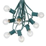 25 G30 Globe Light String Set with Clear Bulbs on Green Wire