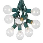 25 G50 Globe Light String Set with Clear Bulbs on Green Wire