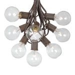 25 G50 Globe Light String Set with Clear Bulbs on Brown Wire