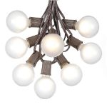 25 G50 Globe Light String Set with Frosted Bulbs on Brown Wire 