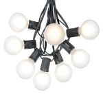 25 G50 Globe Light String Set with Frosted White Bulbs on Black Wire