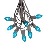 25 Light String Set with Teal Transparent C7 Bulbs on Brown Wire