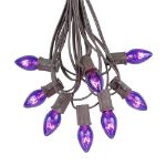 25 Light String Set with Purple Transparent C7 Bulbs on Brown Wire