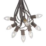 25 Light String Set with Clear Transparent C7 Bulbs on Brown Wire
