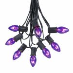 100 C7 String Light Set with Purple Bulbs on Black Wire