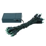 20 LED Battery Operated Lights Green on Green Wire