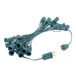 C9 25 Light String Set with Teal Bulbs on Green Wire