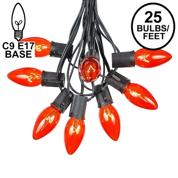 C9 25 Light String Set with Orange Bulbs on Black Wire