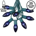 C9 25 Light String Set with Blue Bulbs on Green Wire