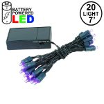 20 LED Battery Operated Lights Purple Green Wire