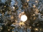 25 G40 Globe String Light Set with Frosted Bulbs on Green Wire