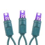 20 LED Battery Operated Lights Purple Green Wire