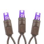 Commercial Grade Wide Angle 50 LED Purple 25' Long on Brown Wire