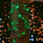 Commercial Grade Wide Angle 100 LED Green 34' Long on Green Wire