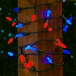 Red and Blue 70 LED C6 Strawberry Mini Lights Commercial Grade Green Wire