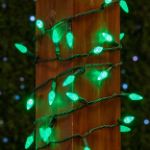 Green 100 LED C6 Strawberry Mini Lights Commercial Grade Green Wire