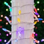 Rainbow 70 LED C6 Strawberry Mini Lights Commercial Grade on White Wire