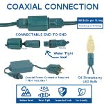 Coaxial Blue 100 LED C6 Strawberry Mini Lights Commercial Grade on Green Wire
