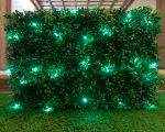 Green LED Net Lights 4x6 Green Wire