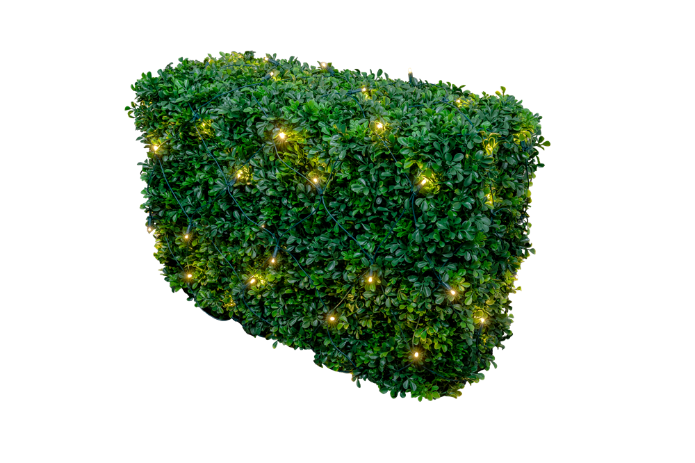 Bush lit with net lights