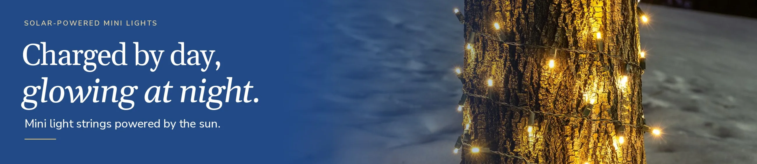 Solar-powered mini lights: charged by day, glowing at night.